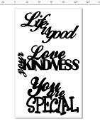 Life is good,love your kindness,you are special  100 x 180mm min